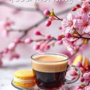 ヒメ日記 2026/03/20 06:35 投稿 不動の人気嬢さくら 嗚呼、四十五歳以上