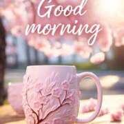 ヒメ日記 2026/03/21 05:10 投稿 不動の人気嬢さくら 嗚呼、四十五歳以上