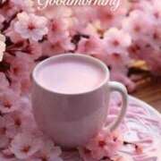 ヒメ日記 2026/03/23 05:24 投稿 不動の人気嬢さくら 嗚呼、四十五歳以上