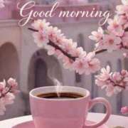 ヒメ日記 2026/03/26 08:25 投稿 不動の人気嬢さくら 嗚呼、四十五歳以上