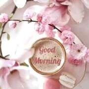 ヒメ日記 2026/03/27 05:14 投稿 不動の人気嬢さくら 嗚呼、四十五歳以上