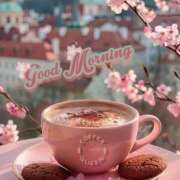 ヒメ日記 2026/04/04 05:30 投稿 不動の人気嬢さくら 嗚呼、四十五歳以上