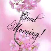 ヒメ日記 2026/04/05 06:43 投稿 不動の人気嬢さくら 嗚呼、四十五歳以上