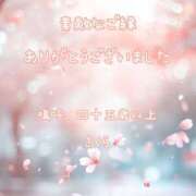 ヒメ日記 2026/04/05 08:22 投稿 不動の人気嬢さくら 嗚呼、四十五歳以上
