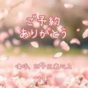 ヒメ日記 2026/04/17 07:54 投稿 不動の人気嬢さくら 嗚呼、四十五歳以上
