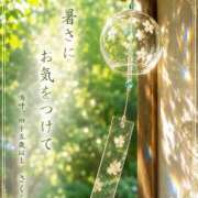 ヒメ日記 2026/08/25 07:13 投稿 不動の人気嬢さくら 嗚呼、四十五歳以上
