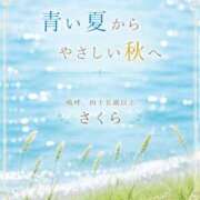 ヒメ日記 2026/08/26 09:23 投稿 不動の人気嬢さくら 嗚呼、四十五歳以上