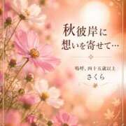 ヒメ日記 2026/09/20 09:11 投稿 不動の人気嬢さくら 嗚呼、四十五歳以上