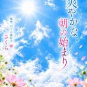 ヒメ日記 2026/10/07 07:44 投稿 不動の人気嬢さくら 嗚呼、四十五歳以上