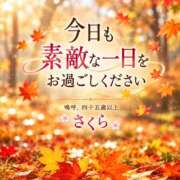 ヒメ日記 2026/10/08 07:50 投稿 不動の人気嬢さくら 嗚呼、四十五歳以上