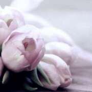 ヒメ日記 2026/01/05 18:46 投稿 大人可愛いちぐさ 嗚呼、四十五歳以上