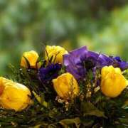 ヒメ日記 2026/01/05 19:30 投稿 大人可愛いちぐさ 嗚呼、四十五歳以上