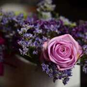 ヒメ日記 2026/01/06 11:39 投稿 大人可愛いちぐさ 嗚呼、四十五歳以上