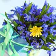 ヒメ日記 2026/01/09 12:50 投稿 大人可愛いちぐさ 嗚呼、四十五歳以上