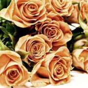 ヒメ日記 2026/01/10 21:35 投稿 大人可愛いちぐさ 嗚呼、四十五歳以上