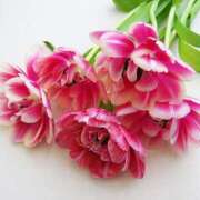 ヒメ日記 2026/02/21 18:19 投稿 大人可愛いちぐさ 嗚呼、四十五歳以上