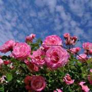 ヒメ日記 2026/03/04 18:59 投稿 大人可愛いちぐさ 嗚呼、四十五歳以上