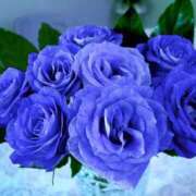 ヒメ日記 2026/03/04 20:27 投稿 大人可愛いちぐさ 嗚呼、四十五歳以上