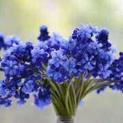 ヒメ日記 2026/03/18 19:46 投稿 大人可愛いちぐさ 嗚呼、四十五歳以上