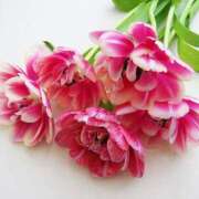 ヒメ日記 2026/03/18 20:30 投稿 大人可愛いちぐさ 嗚呼、四十五歳以上