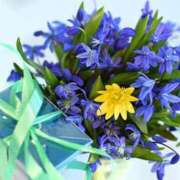 ヒメ日記 2026/04/04 18:08 投稿 大人可愛いちぐさ 嗚呼、四十五歳以上