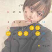 ゆづき 予定表✨ ウルトラホワイト