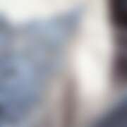 ヒメ日記 2026/02/03 19:00 投稿 とうか Minniy