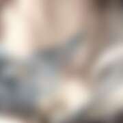 ヒメ日記 2026/03/05 19:04 投稿 とうか Minniy