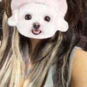 ヒメ日記 2026/03/20 20:30 投稿 とうか Minniy