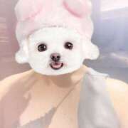 ヒメ日記 2026/04/05 19:02 投稿 とうか Minniy