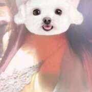 ヒメ日記 2026/04/11 19:02 投稿 とうか Minniy