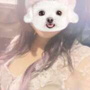 ヒメ日記 2026/04/15 18:56 投稿 とうか Minniy