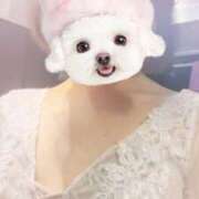 ヒメ日記 2026/04/18 19:53 投稿 とうか Minniy