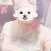 ヒメ日記 2026/04/26 19:10 投稿 とうか Minniy