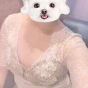 ヒメ日記 2026/04/28 19:03 投稿 とうか Minniy