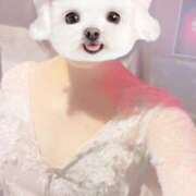 ヒメ日記 2026/04/29 19:00 投稿 とうか Minniy