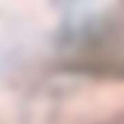 ヒメ日記 2026/04/29 19:10 投稿 とうか Minniy