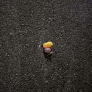 ヒメ日記 2026/03/11 21:00 投稿 なの BUNNY（バニー）十三店