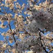 なの 久しぶりなの BUNNY（バニー）十三店