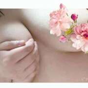 ヒメ日記 2026/01/28 14:16 投稿 れな ぽっちゃり巨乳素人専門店ぷにめろ蒲田店