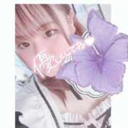 ヒメ日記 2026/04/01 11:39 投稿 れな ぽっちゃり巨乳素人専門店ぷにめろ蒲田店