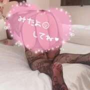 ヒメ日記 2026/06/19 11:56 投稿 れな ぽっちゃり巨乳素人専門店ぷにめろ蒲田店