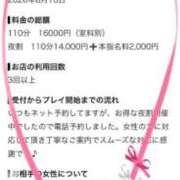 ヒメ日記 2026/08/11 19:46 投稿 れな ぽっちゃり巨乳素人専門店ぷにめろ蒲田店