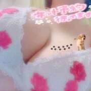 ヒメ日記 2026/02/07 19:15 投稿 やみ ぷるるんギャング