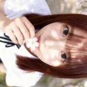 すい 桜の季節 EXE（エグゼ）