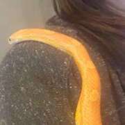 ヒメ日記 2026/01/28 17:15 投稿 ななせ みこすり半道場 大阪店