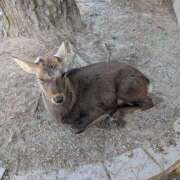 ヒメ日記 2026/02/14 04:16 投稿 ななせ みこすり半道場 大阪店