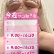 ヒメ日記 2026/02/02 08:48 投稿 すい たっぷりHoneyoilSPA福岡中洲店