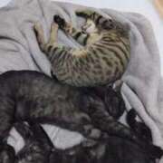 ヒメ日記 2026/01/07 23:28 投稿 きなこ 福岡ちゃんこ大牟田店