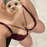 ヒメ日記 2026/02/06 18:20 投稿 なつ ニューヨーカー